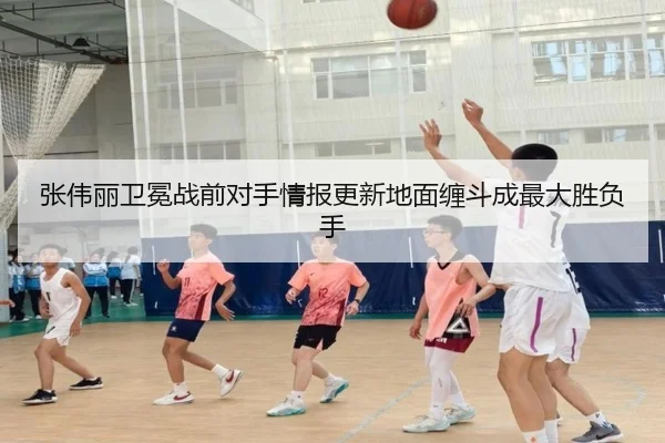 张伟丽卫冕战前对手情报更新地面缠斗成最大胜负手 - AOASPORTS